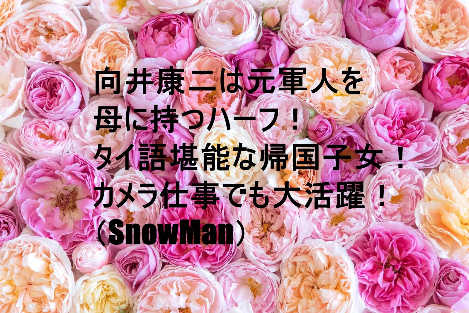 向井康二 母親の名前はハナ！お笑いセンス抜群で息子想いなエピソードを紹介！画像 – STA−NEWS