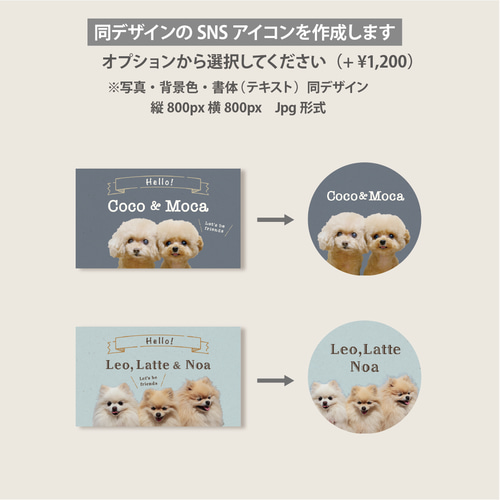 ペット名刺の制作実例犬 多頭飼い の両面ペット名刺w_rec0098