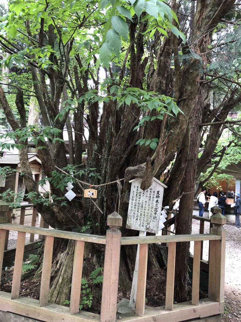 本当に効く1位は？ 熊本県の復縁神社・縁結び神社9選復縁・縁結び神社ナビ