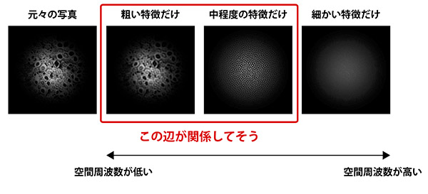 Event InfoEnglish is belowナイタープールの季節 きせつ です！ 今年 ことし は 1回 かいだけ！ みんなで市民 しみん プールの フィナーレを たのしみましょう！ もう少 すこ しで 行 い きたい人 ひと が いっぱいになりますよ！ もうしこみは