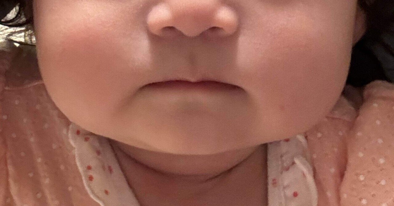 もちもちほっぺが可愛い女の子の赤ちゃんの写真・画像素材-Snapmart スナップマート