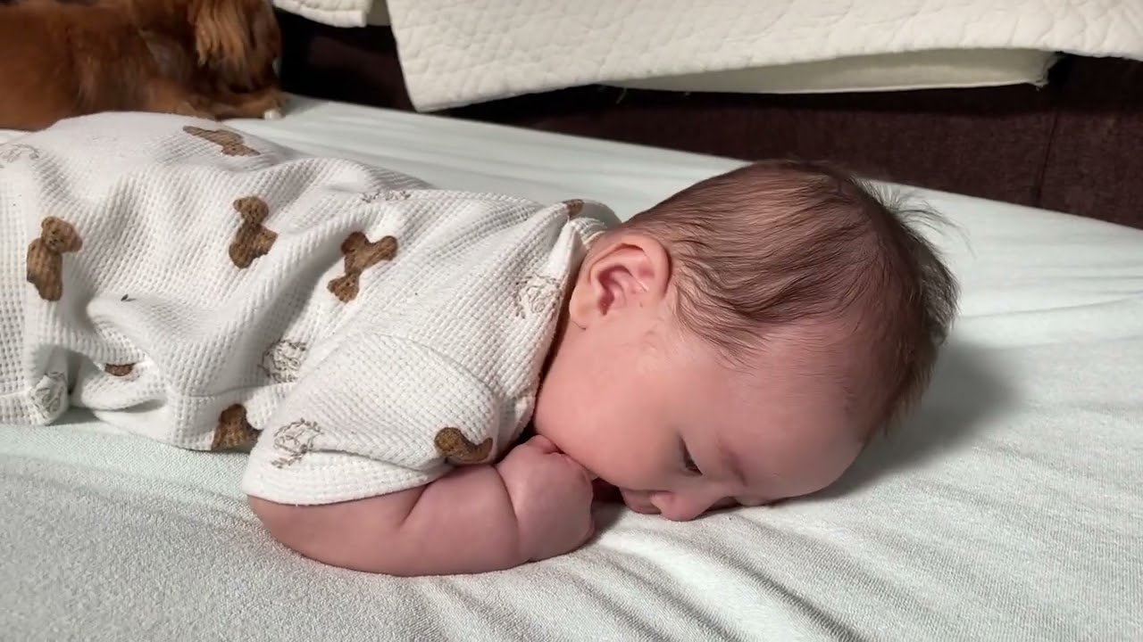 首のすわりやハイハイへの第一歩！うつ伏せの練習「腹ばい」方法とはナチュラルサイエンス for Mama & Kids Smile