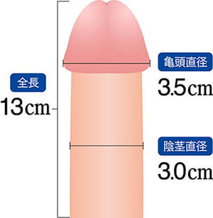 短小包茎とは！短小は何センチから？日本人の平均サイズや治療法 - アトムクリニック