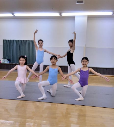 バレエ レオタード 子供 キッズ バレエ形体服 可愛さ満載 バレエダンス 連体ダンス服 バレエ レオタード 股下スナップ 女の子 子供 ジュニア練習着 演出用 子供ダンス衣装 ワンピース be028x0x0jc