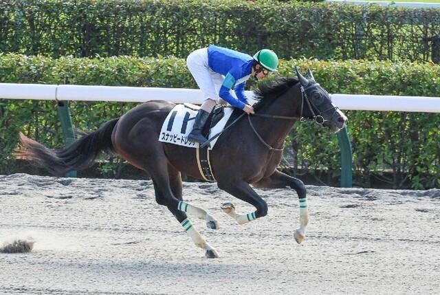 小倉５Ｒ・２歳新馬】７番人気トップオンザヒルが押し切る 田口貫太騎手「他馬に迷惑をかけてしまった」 -