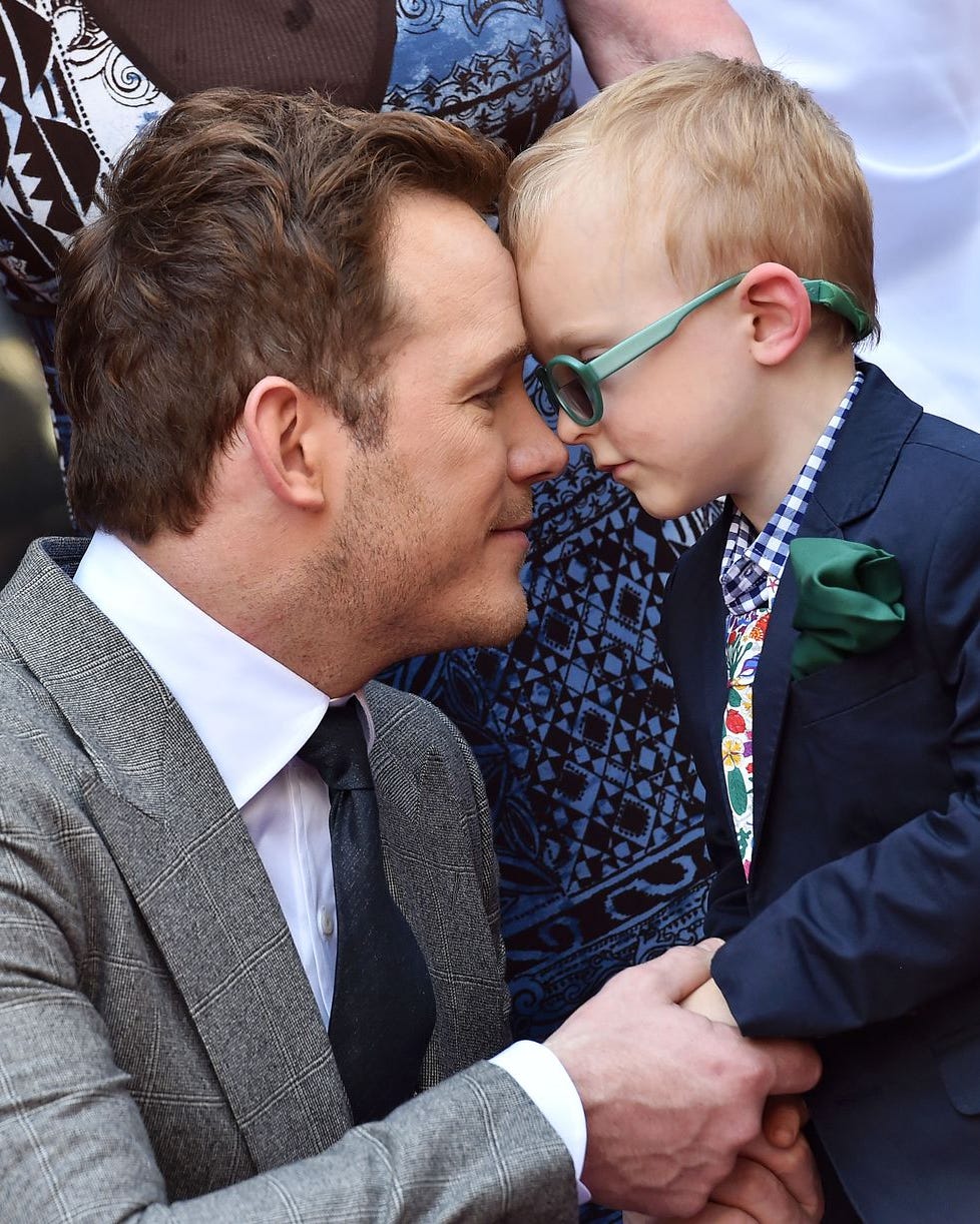 トイプードル - 子犬や子猫たちのペット販売情報が満載「ペットステーション」