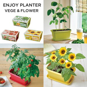 超多忙な一人暮らし女子の毎日が花で生まれ変わる一人暮らしAll About