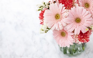 友達の結婚祝いに！花言葉が素敵な花とおすすめフラワーギフトを紹介似顔絵グラフィックス