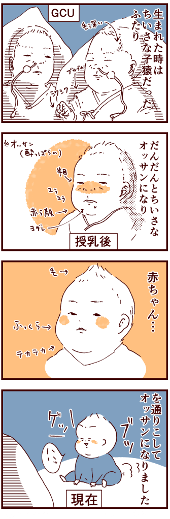 DSC_0471temakiFlickr