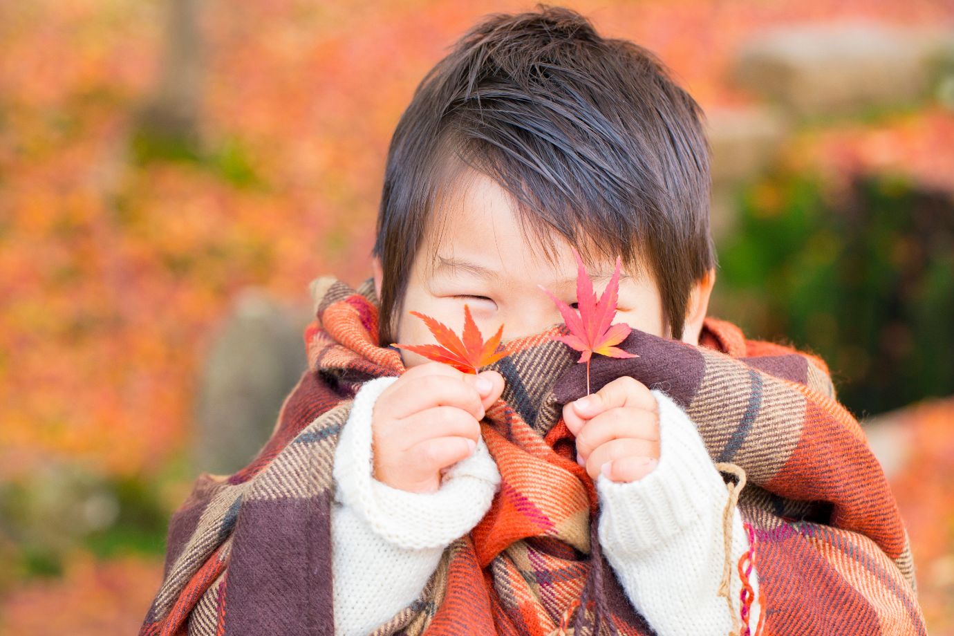 0～5歳児・年齢別 落ち葉遊びアイデア10選保育士を応援する情報サイト 保育と暮らしをすこやかに ほいくらし