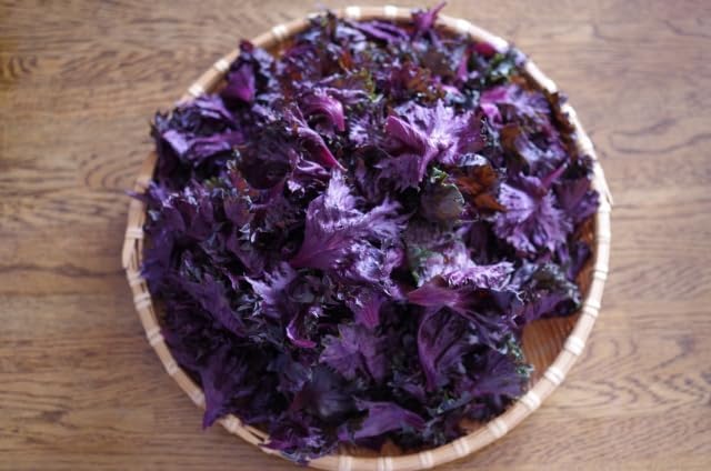 トマトジュースを全国発送！岐阜県東白川村「ふるさと企画」東白川村役場