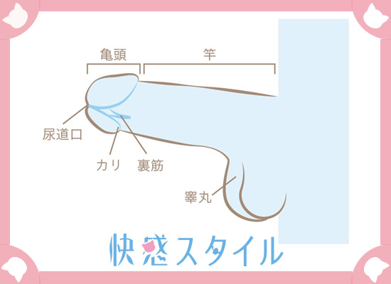 セルフフェラのやり方！自分のちんこを舐める方法を徹底解説