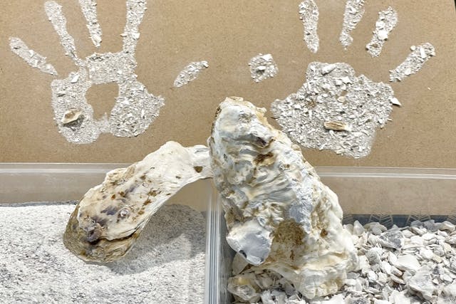 超簡単100均DIY 記念日に！TikTokで話題のカップル手形アート♡材料と作り方も一挙ご紹介♩ - トレンドお届けメディア Trepo トレポ