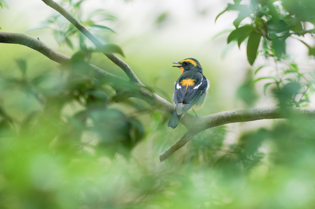 妻との日常をのぞき見！夫婦の素敵な日常をご紹介✨