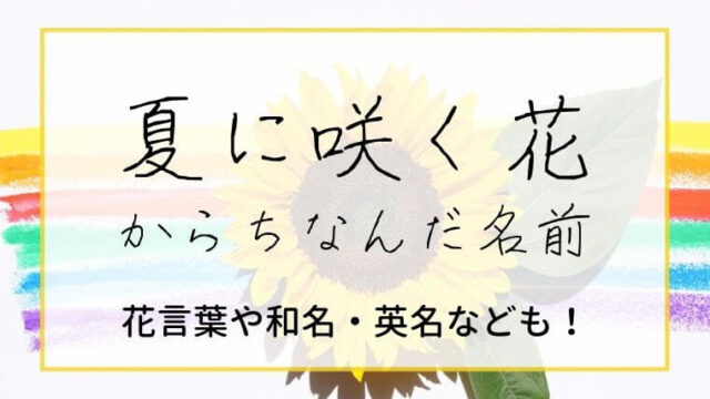 雪にまつわる名前」ランキングTOP30！ 1位は「柚希」 2023年最新調査結果1 6ライフ ねとらぼリサーチ