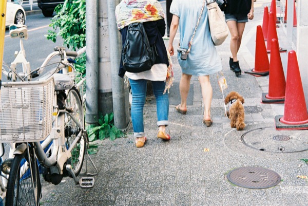 結婚した声優一覧2025年に結婚や入籍を発表した方々のまとめ声優アニメフリークス