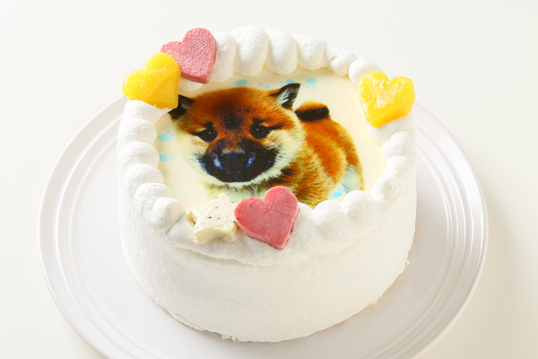 Amazon.co.jp: umoni シベリアンハスキー バースデーケーキトッパー 犬 誕生日 デコレーション ハスキー 犬 ケーキトッパー 子犬誕生日ケーキ ピック そり ペット 犬 テーマ パーティー用品 MonCT-220 : 食品・飲料・お酒