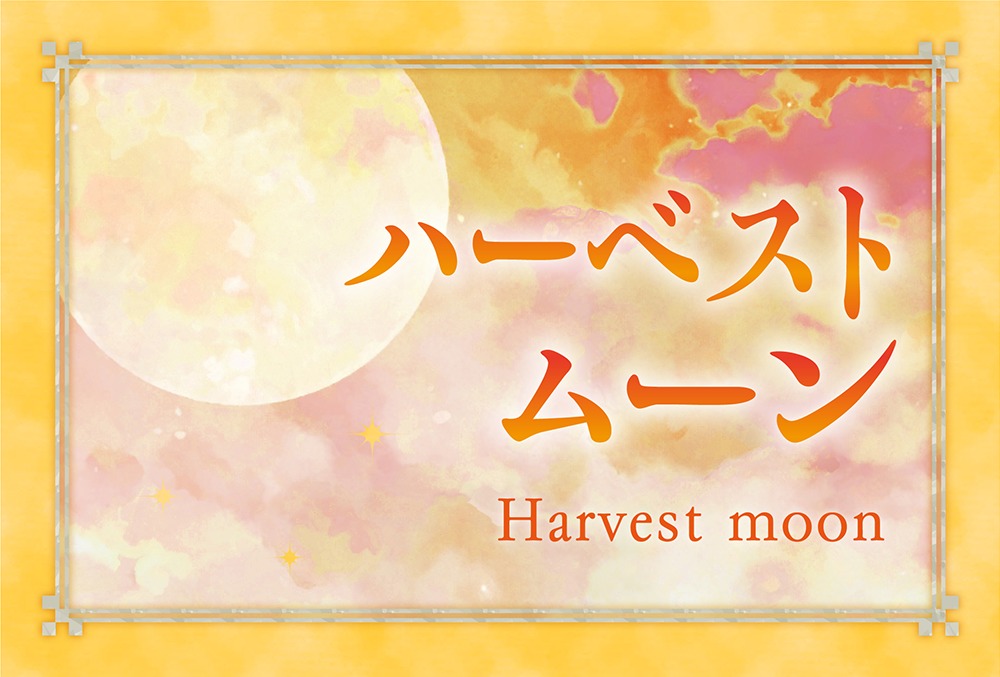 ハーベストムーン 東札幌 Harvest Moon】札幌・ステーキ・ハンバーグ・カレー