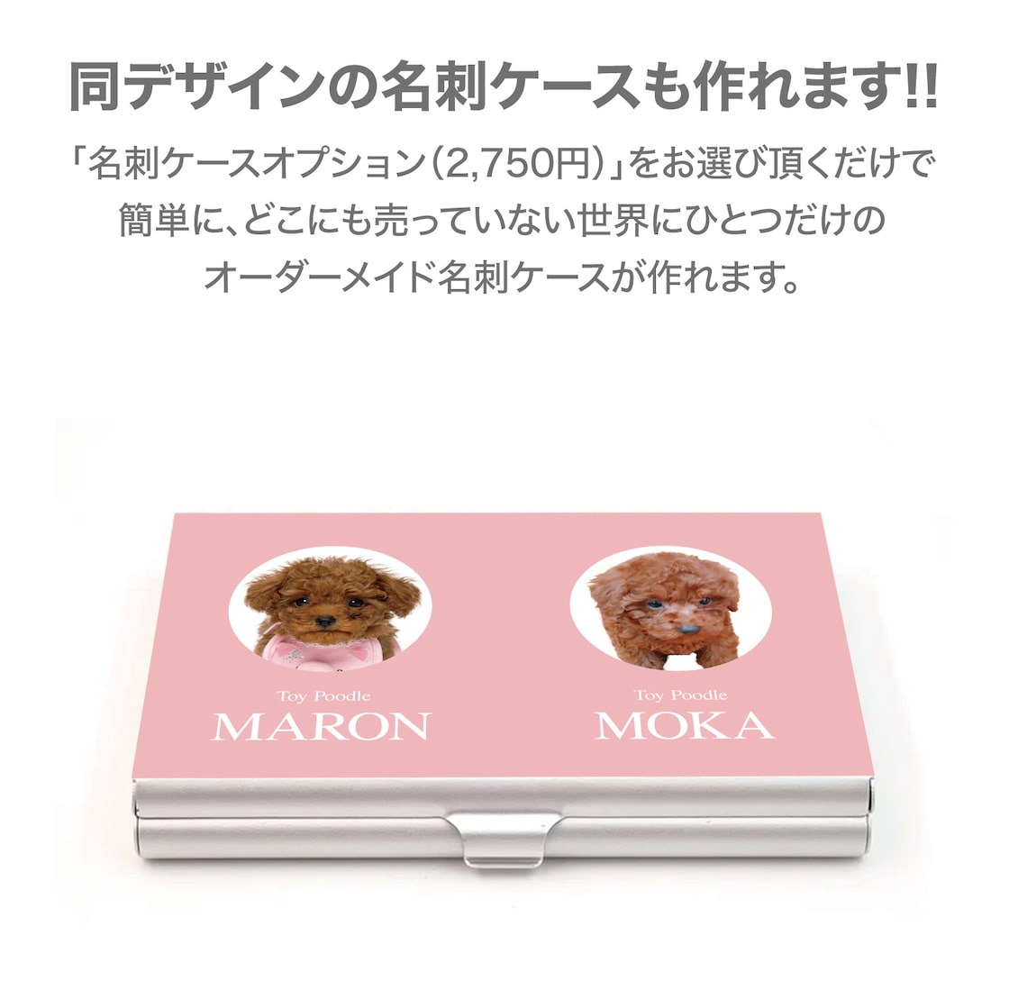 ペット名刺の制作実例チンチラ 5匹多頭飼い の両面ペット名刺w_rec0051