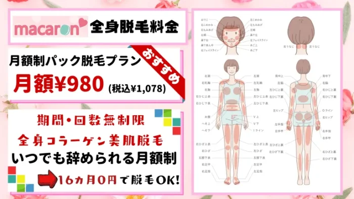 非売品☆エステティックTBC エピレ クリアファイル 土臭