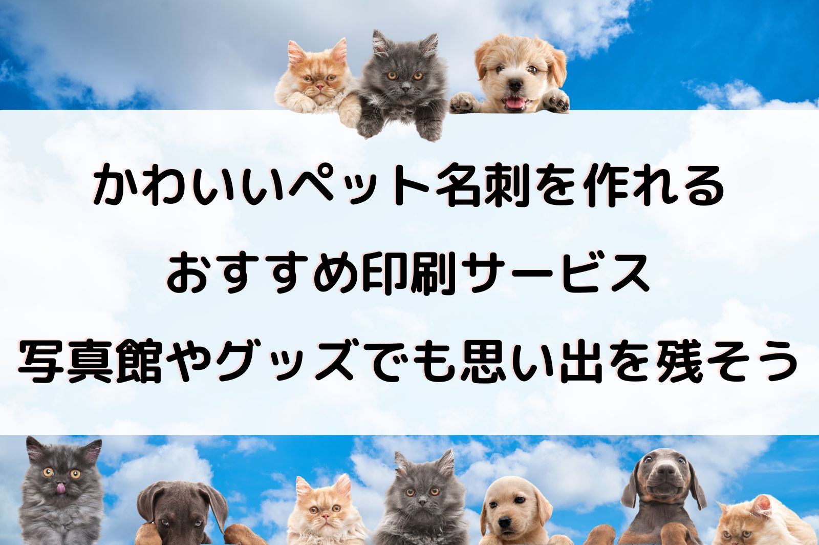 ペット 名刺 オリジナル 名刺作成の通販 by のらり's shopラクマ