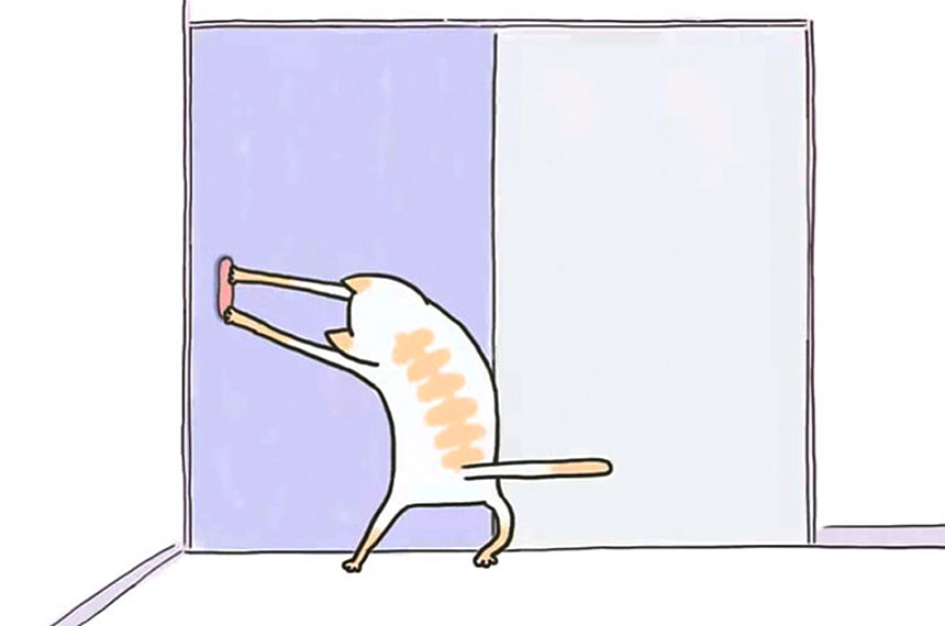 これが弊ワットの蛍 ちゃん だ!! Genshin ImpactHoYoLAB