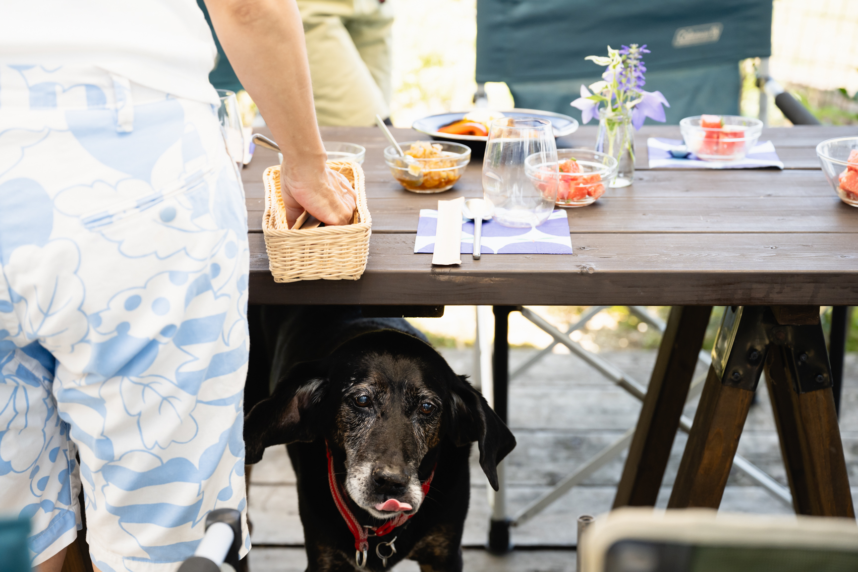 モデル・土屋巴瑞季さん 夫の転勤先・福岡との“二拠点生活”は「直売所巡りが楽しい」！CLASSY. クラッシィ