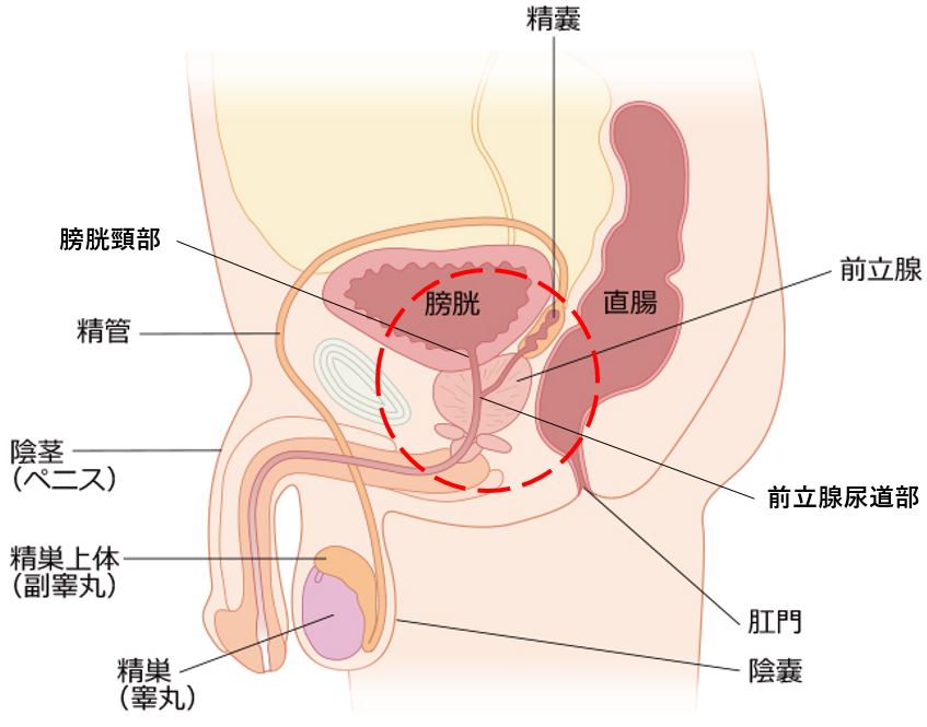 潮吹きできない女性必見！オナニーで潮吹きのやり方・コツを掴む方法 | みっけStory