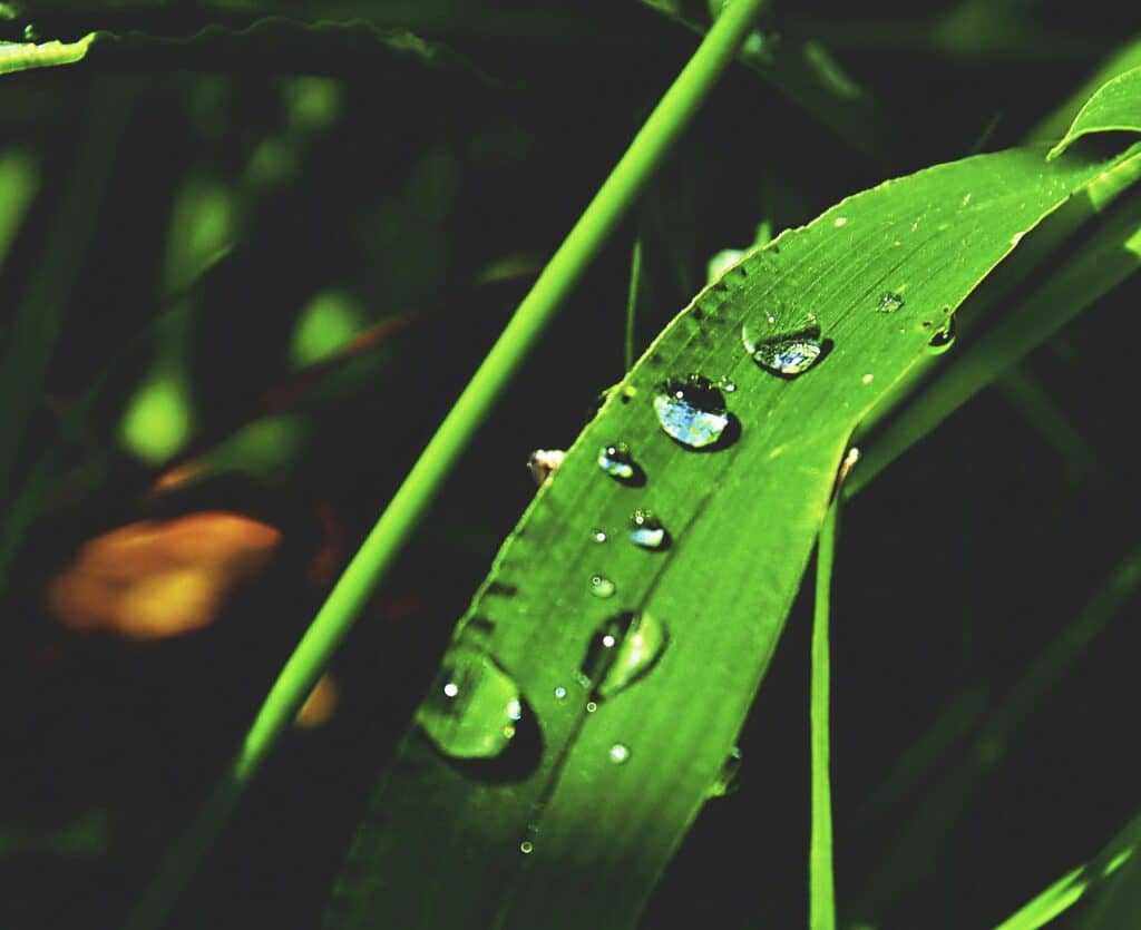 人気の赤ちゃんの名前を教えて！男の子編パンパース