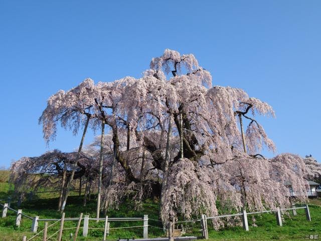 天然温泉極楽湯 福島郡山店 - 郡山富田/食堂 |