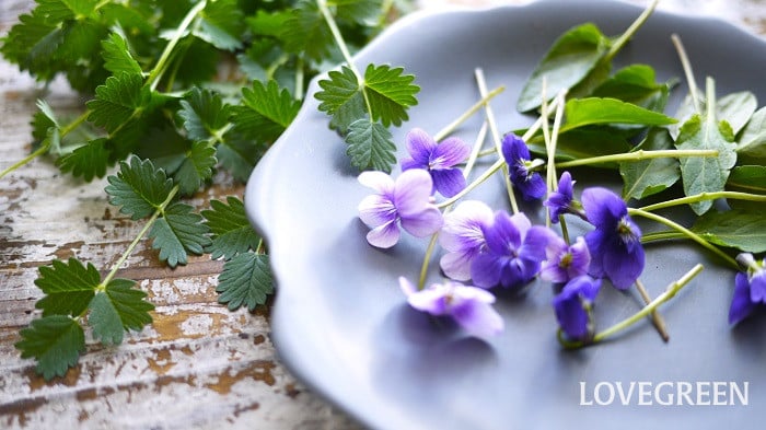 名付けポン 赤ちゃんの名前集on X: