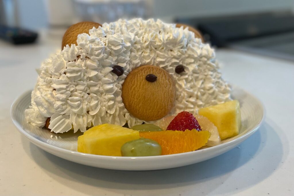 おうちでハーフバースデー🎂 手作りのキューピーのお洋服に可愛いブース1日1日の成長を大切に残したい、お子様のためにできるだけの愛情を注ぎたいという気持ちが伝わった日でした！ひねもすしゃしん暮らしの出張撮影gfx50siiハーフバースデ