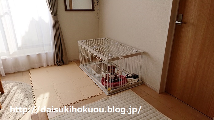 狭い家にもおすすめ！犬と暮らすための家具」 : BlueDesign