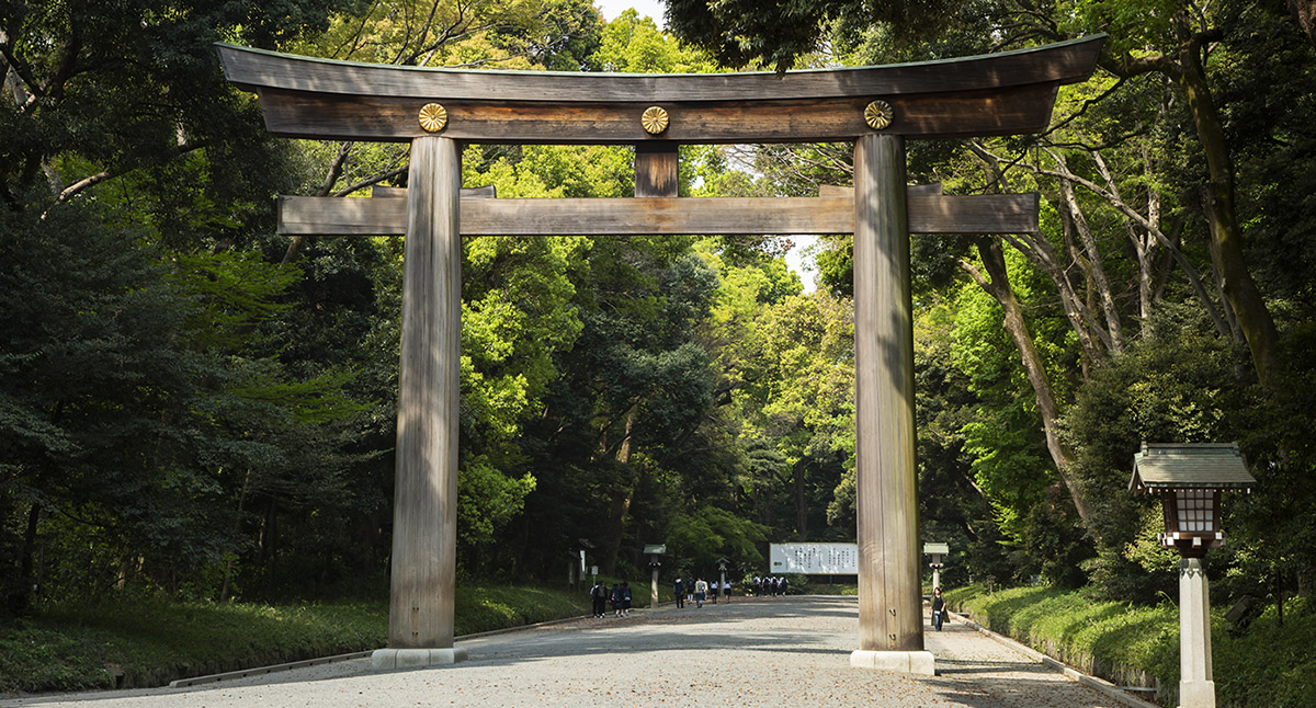 明治神宮のイベント・アクセス