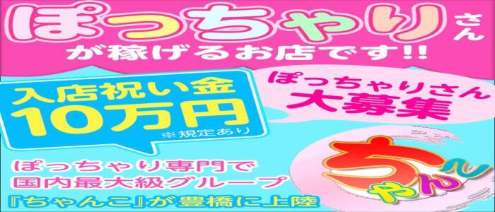 おすすめ】豊川(愛知)のAFデリヘル店をご紹介！｜デリヘルじゃぱん