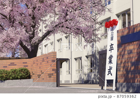 桜とリボンの卒業イラスト - No: 1032648無料イラスト・フリー素材なら「イラストAC」