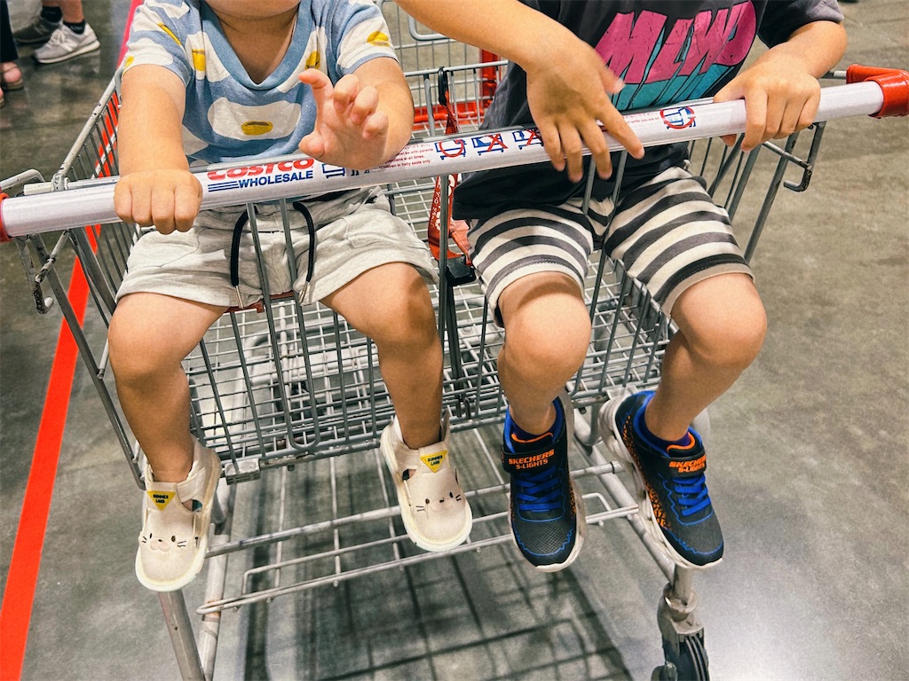 コストコカート子供は何歳から何歳まで？何キロまで乗れる？ - しんたろす＠にわかモノブログ