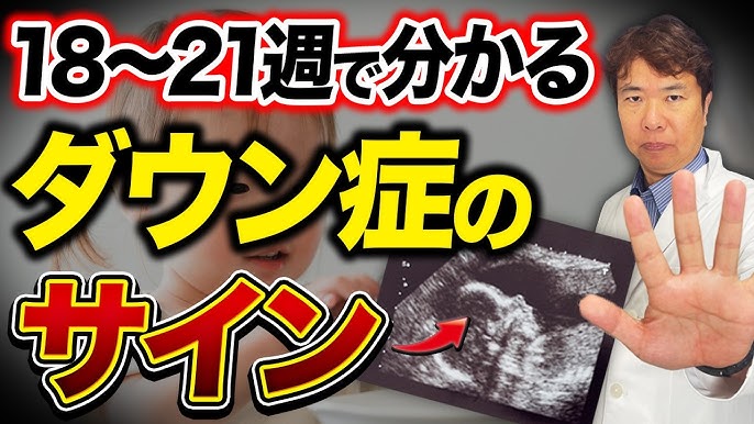 模型で見るへそのおのはたらきNHK for School