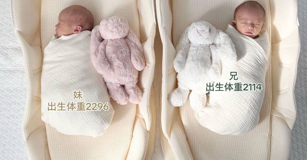 男女の一卵性双生児「異性一卵性双胎」について解説する - 産婦人科医が漫画を読む