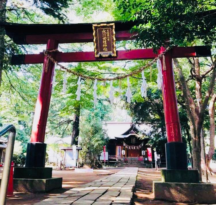 巫女が教えるもっと開運する為の正しい神社参拝の仕方占い師の先生🔮椿 れいか 開運・強運・神社 ⛩ 巫女・タロット・アメリカ 脳科学