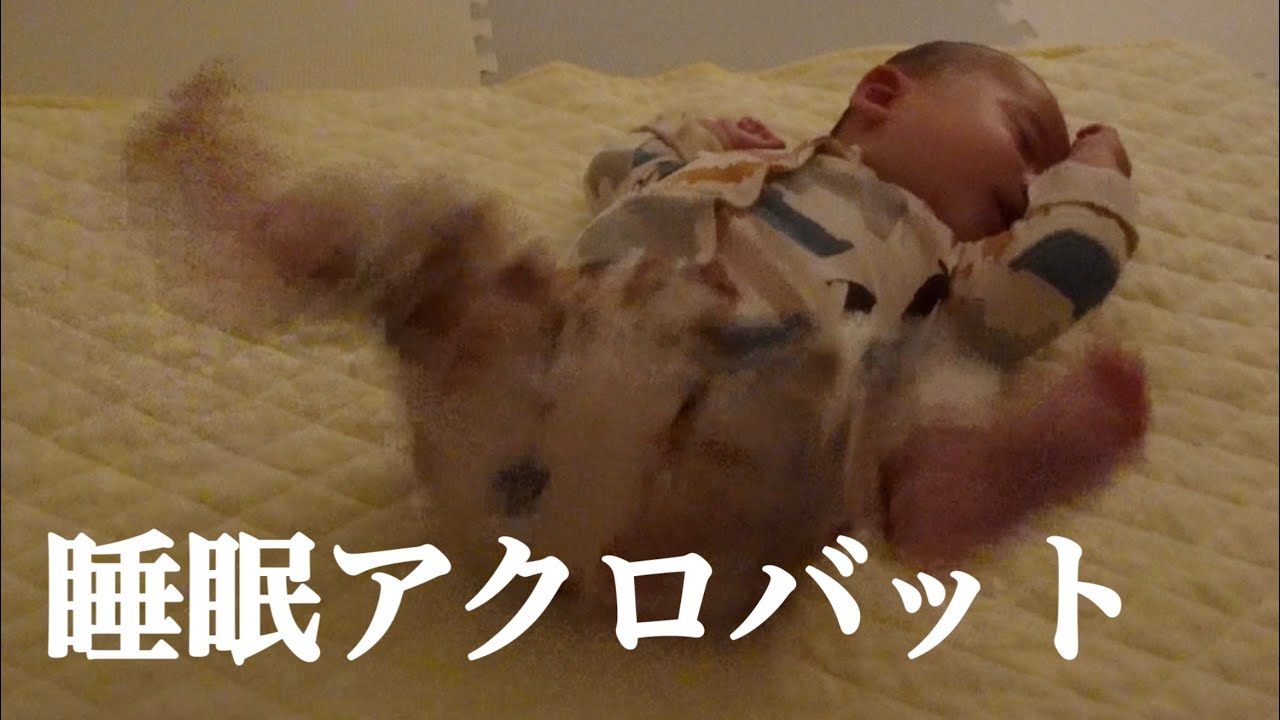 うねうね、ブルブル、ばたん💤, 産まれたての赤ちゃんと特有の動き💓, 天使のような愛くるしさですよね👼,赤ちゃんが寝ているときは、できるだけママ・パパもゆっくり休んでくださいね🌈, こちらの素敵な動画は @na.yo_mom.dad さんの動画です。,@na.yo_mom.dadさまのアカウントはとっても素敵な投稿ばかりですので、みなさんもぜひご覧になってみてくださいね😍,