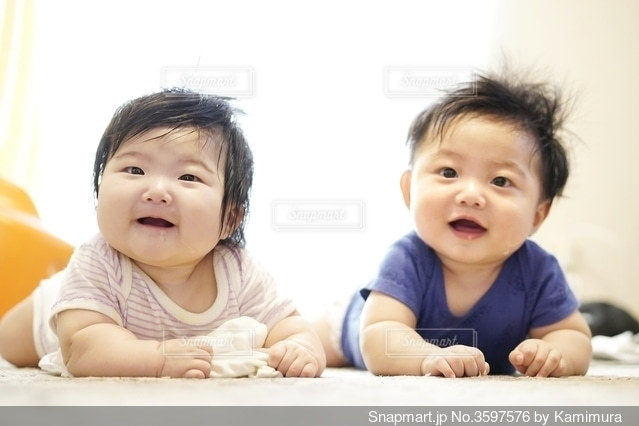 コラム 2月5日はふたごの日tocoche