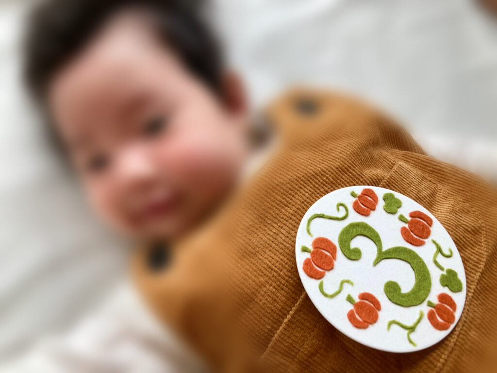 粉ミルク姿”の生後1カ月赤ちゃん→10カ月後「えええ！」「これ手作りですか？！」ママお手製の衣装に驚き 1 3育児 ねとらぼ