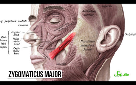 えくぼは作れる？ えくぼエクボエクボメイクメイク動画メイクで変身メイクチャレンジメイクテクメイクテクニックメイク初心者🔰