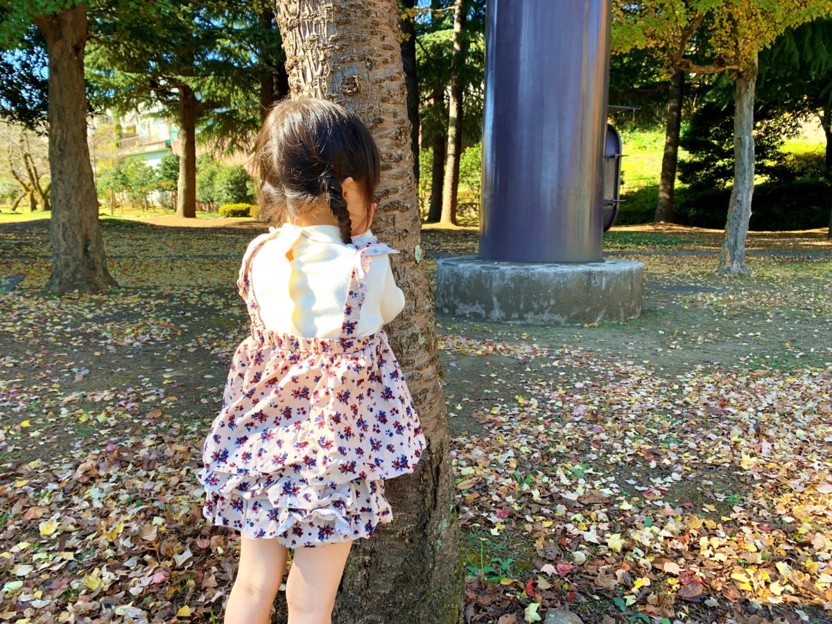 複合遊具 幼児～小学生低学年さぎのせ公園 岩出市