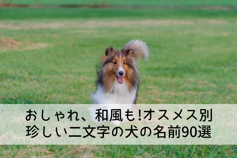 女の子の三文字の名前人気ランキングTOP30！赤ちゃんの命名・名づけAll About