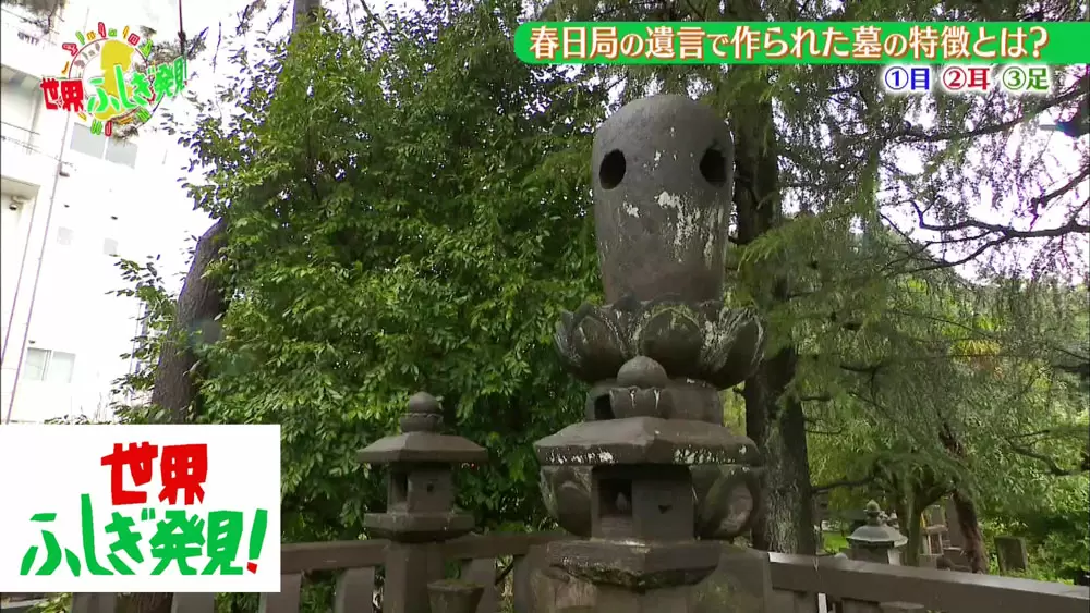 浄光の森聖地のお墓 東京都八王子市の霊園・寺院│OHAKO-おはこ- 納骨先・墓地・霊園探しなら