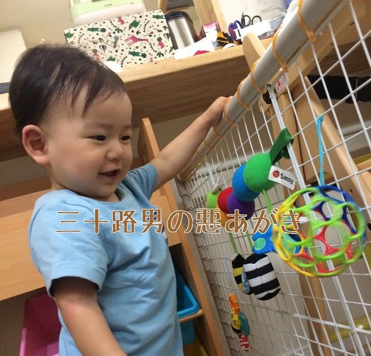 サークルカバー～手作りワンコグッズアイリスプラザ_メディア