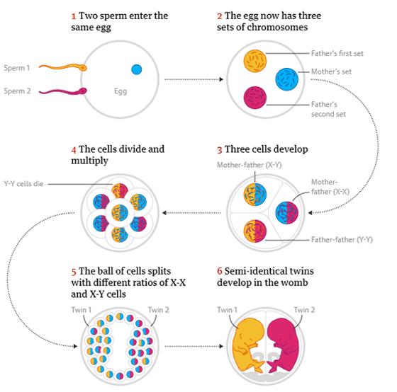 男女双子 1歳児仲良し兄妹の日常！生後1歳7ヶ月Mix twins Daily life of the close brother of the 1year old child 何気ない日常53