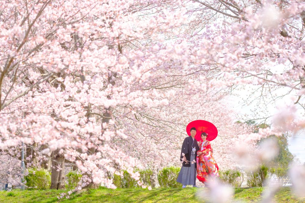 桜前撮り」がオススメな理由と注意点！東京で撮影できるスポットも フォト婚コラム フォトウェディングのecoo